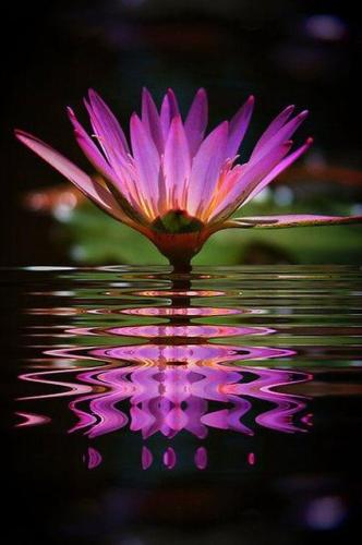 77549DB8-7E39-4005-A1B8-CDB5A889BD1F