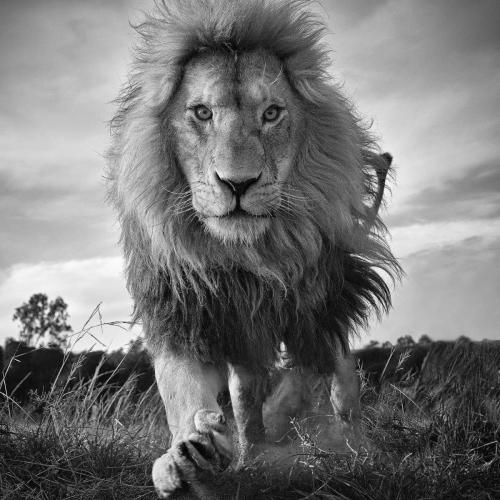 65D277C8-0CBE-4F50-A00B-B8967FA035F0