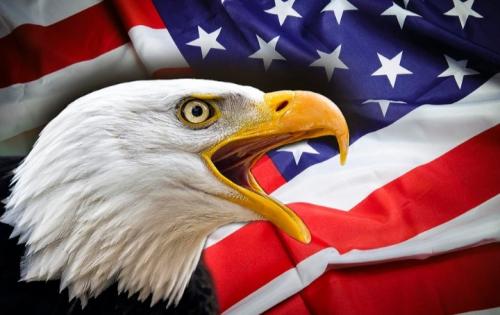 US Flag and Bald Eagle