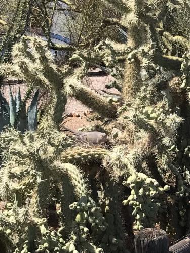 CA9B5C25-1704-442A-AED7-0D19D6DD1FCF