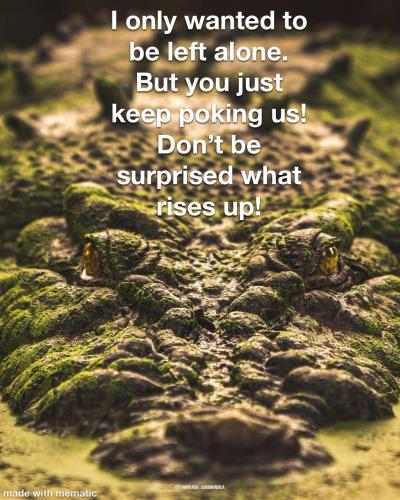 0A425F9B-176E-45E3-B6E3-3F1C3B90604D