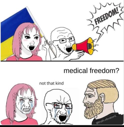 FB_IMG_1646588126066