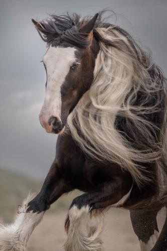 5F3771EE-2F84-4F1D-9D92-B927DC702BC2