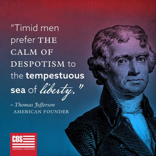 Sea of Liberty