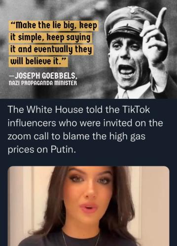 Biden Nazis and TikTok