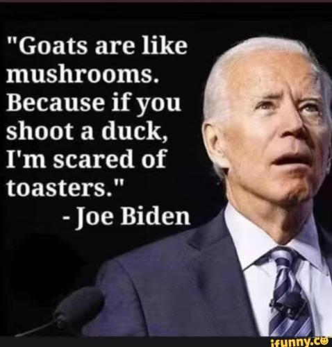 B4E439A1-EC4E-45BC-AFCA-31497EA45756