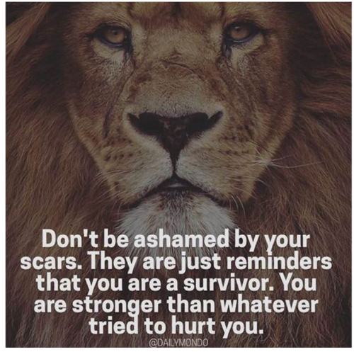 Screenshot_20220225-140432