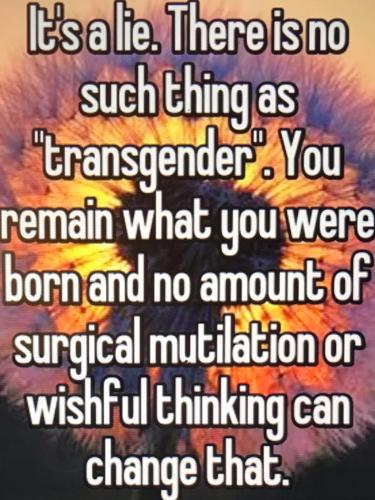 F856A9F9-0CEE-4802-8628-A94F8C1E91F5