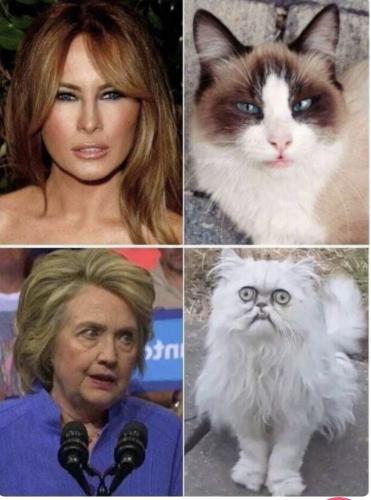 1A4F8434-924D-490B-AA41-F0E6648838A4