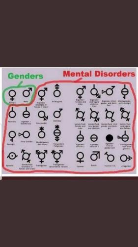 photo_2022-03-22_06-22-23