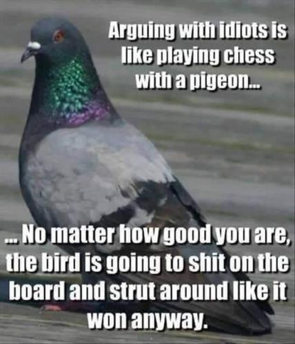 9F8BBEBC-170C-4363-95B4-6501A0A15432