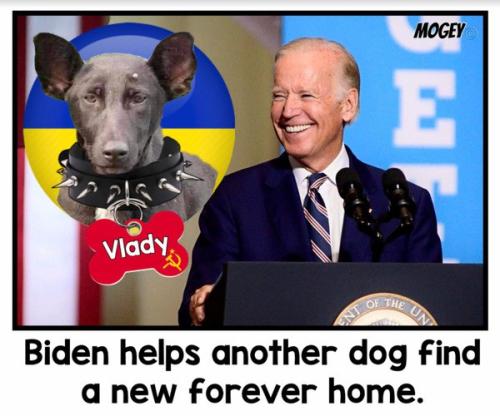 b67b7ef1-45dd-404b-bd62-07470427adf8