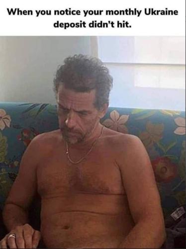 bidenhunterhurtbywar