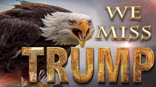 FB Trump