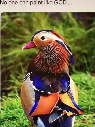 96EBC4D2-A56C-4616-9A55-A59B220219D3