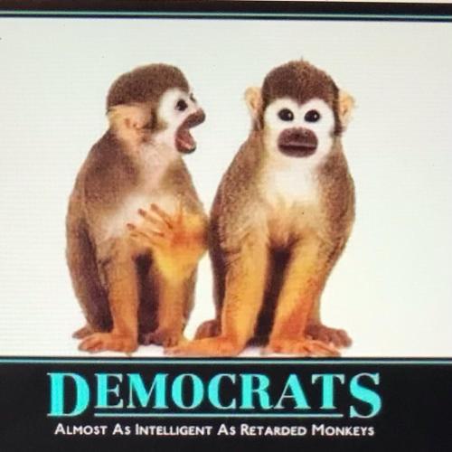 ED1EAA04-7578-4CE2-BD7E-1890C5D909ED