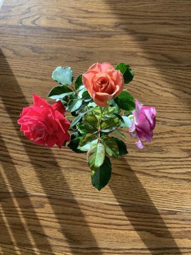 EB42A9E6-EBF7-4827-8F40-F4437F313AF5