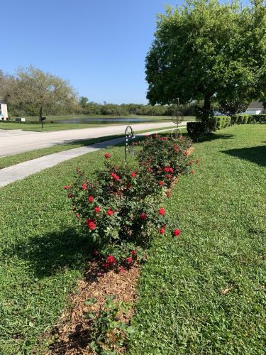 A0FF3D13-6455-4DE8-B8CA-E2D9F0A01A8C