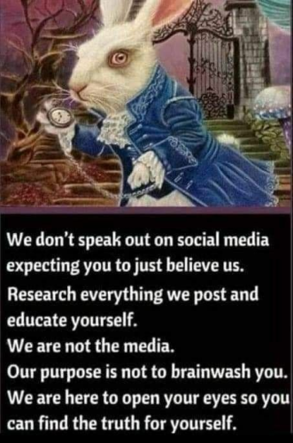 img - 2022-03-31T122215.494