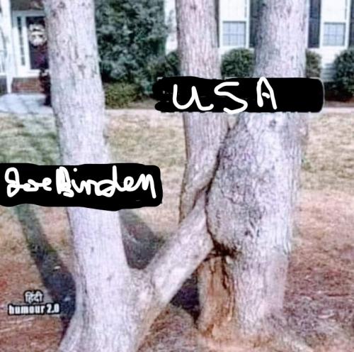 Inkedthe trees of truth_LI