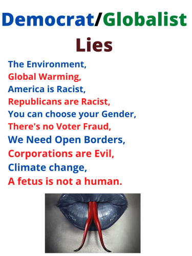 DemocratGlobalist Lies