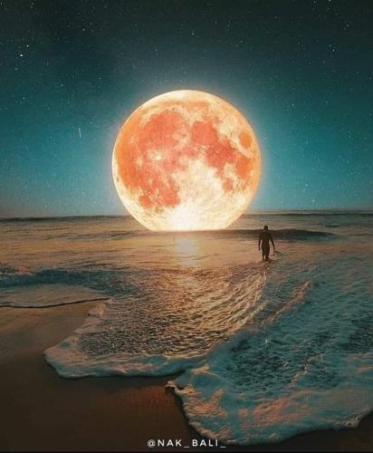 FB_IMG_1618922100089