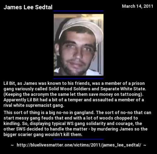 2011-james_lee_sedtal-infocard