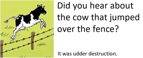 20220302 Udder Destruction