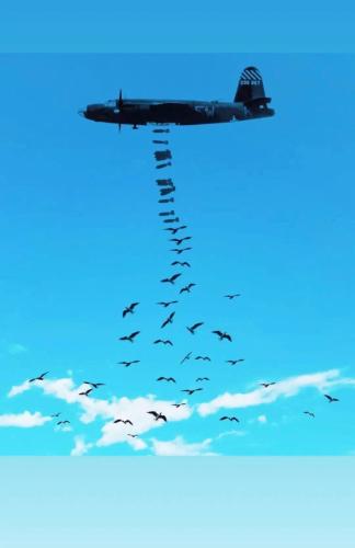 24e51d38-7f84-439e-8170-a56672e26528d