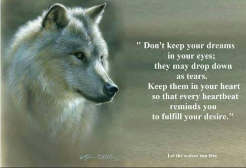 Screenshot_20211111-131219