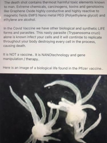 5217A46F-6528-47CD-A301-2FD7CA108245