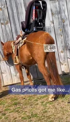 GasPricesGotMe