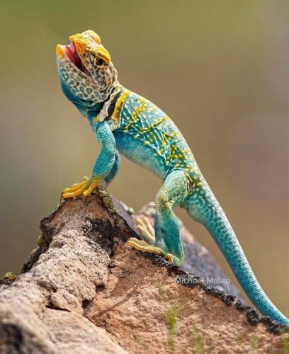 D4A56B51-31B7-4C90-980D-9374795F9126