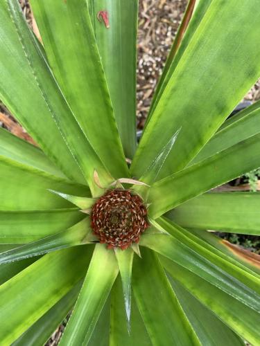 CA74200D-B359-488B-A716-501CE712879B