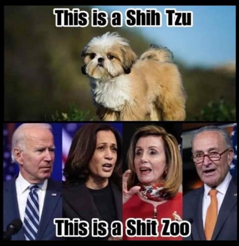 Shit Zoo