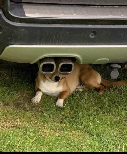 275237367_10219886662147447_6742793779048733521_n