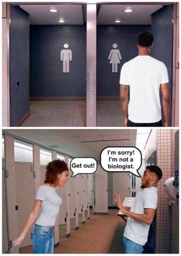 FB_IMG_1648168698457