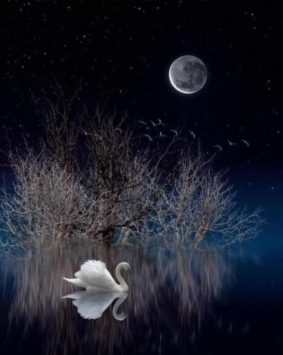 C1821FF1-6414-4A4F-8D38-D53B3537D2C5