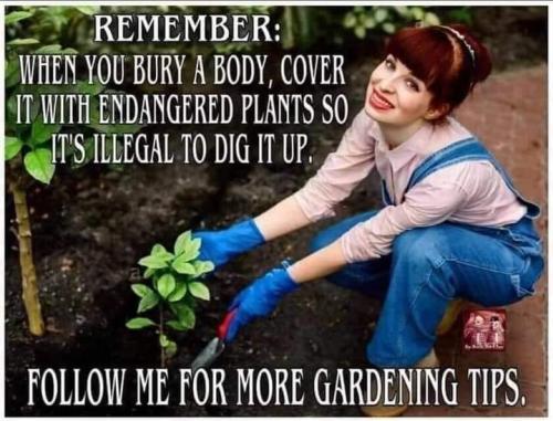 FB_IMG_1608046684692