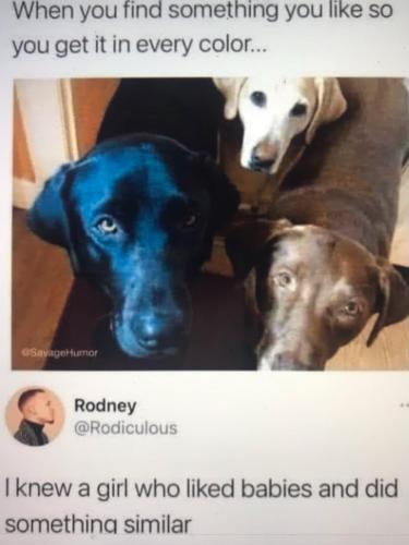 7B3DA12F-1DAF-4EA2-8747-EB466F0A3354