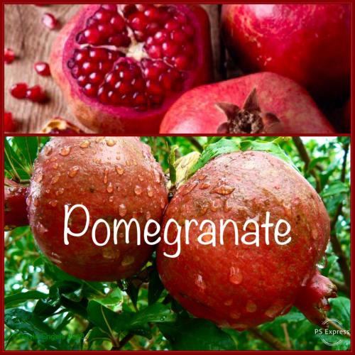 10ACB85B-3474-48F7-94F3-595CA54F85E5