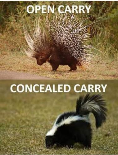 E0D5E60B-60C2-4FF5-9929-1766782AB802