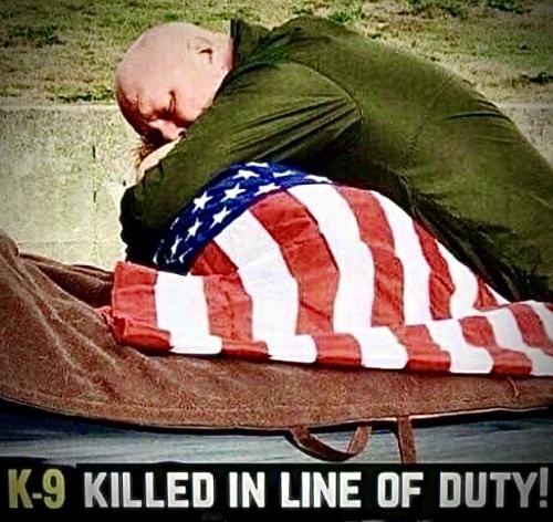 FA9FB895-F9DB-4C09-9252-895B3CDFEACF