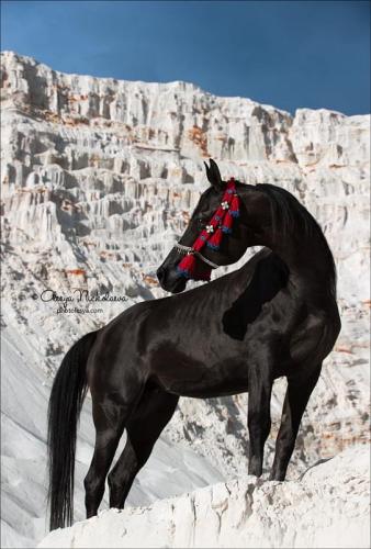 D9492FF1-4E70-483D-9F30-C35D519772F9