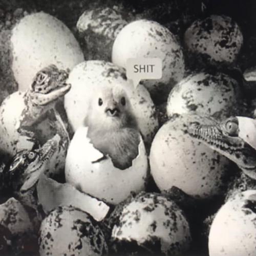 89AC0D30-C8B7-4DB7-8D31-05C1B385A4A4