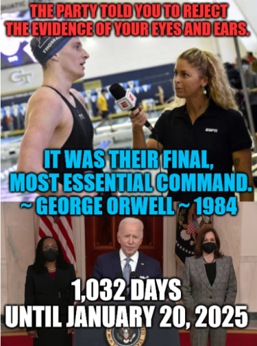 Screenshot 2022-03-25 at 12-18-31 Meme Generator - Imgflip