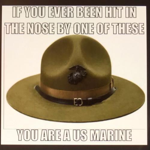 53C9EB53-6E61-4D1C-9781-8F5A44A108DC