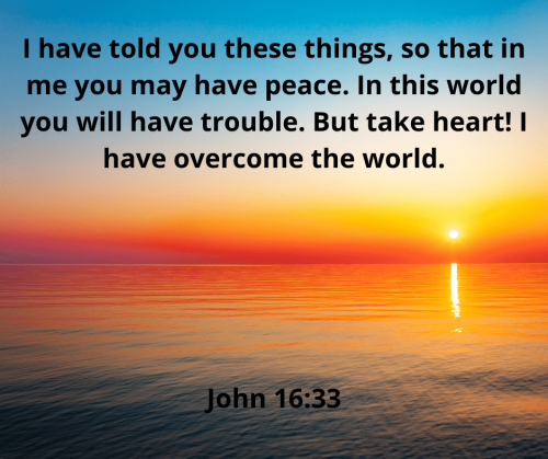 34F96978D8BD145B41CBE8BB0C2E8817.bible52-min