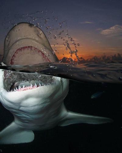 C16DC936-1BF0-4E32-88EA-B2EA3FB128B0