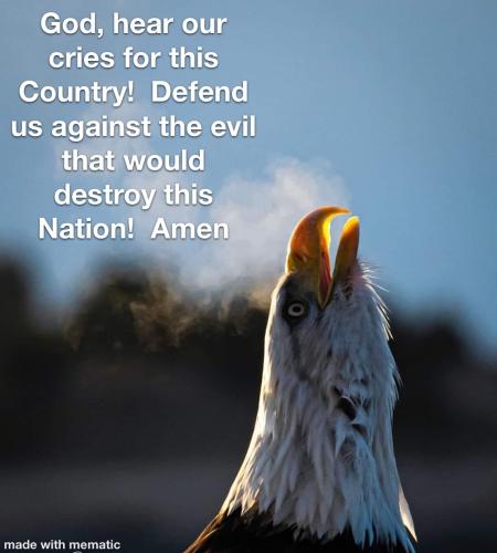 6187393C-1353-45F4-BA19-07A8FED4973E